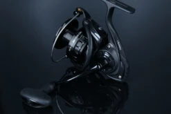 Daiwa BG Black LT -Angebote Shimano Store 32 220784r 3