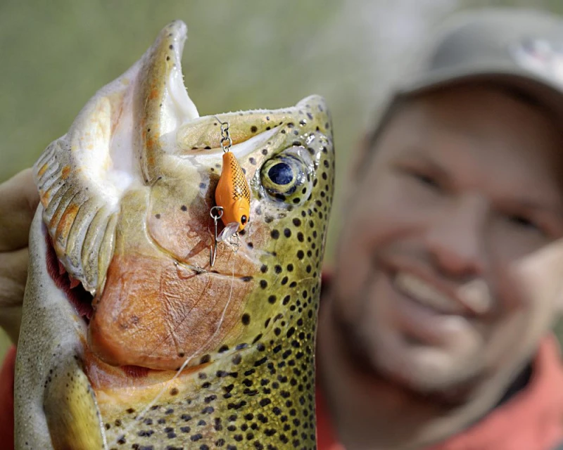 Magic Trout Hustle And Bustle Lake 2,7cm, 1,1g 3 Magic Trout Hustle And Bustle Lake 2,7cm, 1,1g – Bild 3