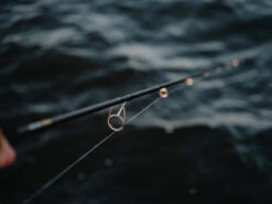 Jaeger Pike One Spinn 8'4'' 30-90g 10 Jaeger Pike One Spinn 8'4'' 30-90g -Angebote Shimano Store PKE ROD 1 5