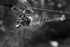 Shimano Stella FK -Angebote Shimano Store STL1000FKr 6